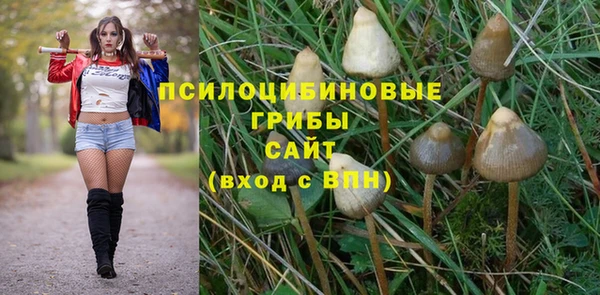 дживик Горнозаводск