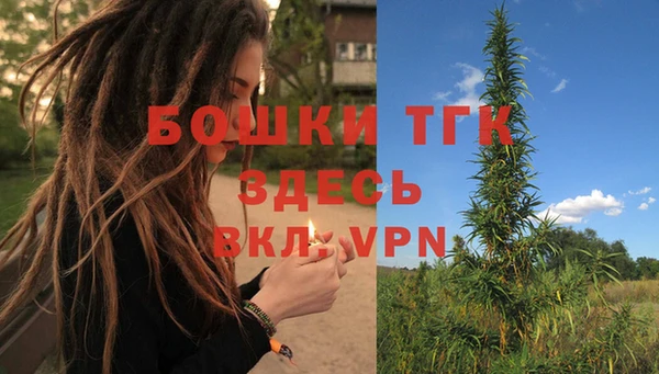 дживик Горнозаводск