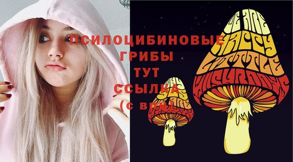 дживик Горнозаводск